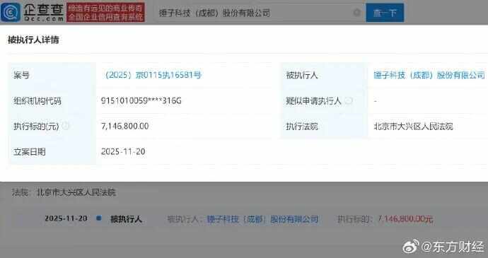 羅永浩公司因計(jì)算機(jī)軟硬件開發(fā)被執(zhí)行715萬(wàn)元，創(chuàng)業(yè)之路再遇波瀾